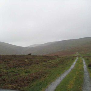 IMG_3876.jpg