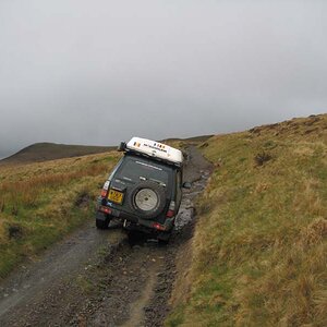 IMG_3885.jpg