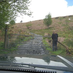 IMG_3895.jpg