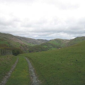 IMG_3902.jpg