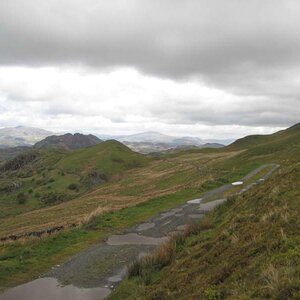 IMG_3907.jpg