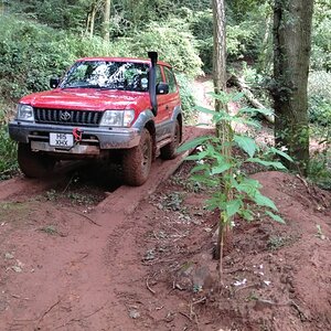 IMG_2233.jpg