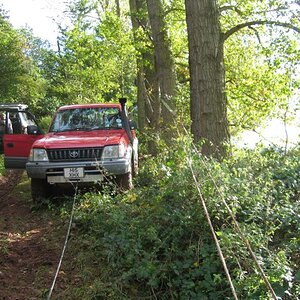 IMG_4650.jpg