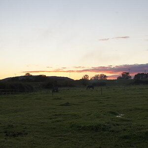 DSC00080_zpsb97dd485.jpg