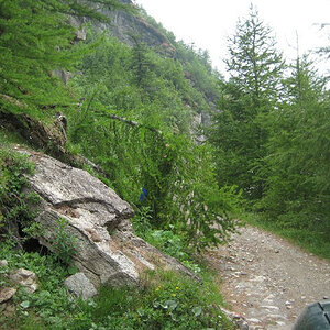 IMG_4180.JPG