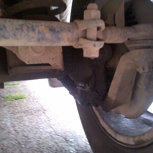 Poole-20120613-00019.jpg