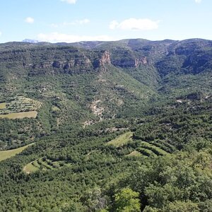 161.jpg