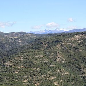 160.jpg