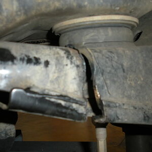 DSCN0671.jpg