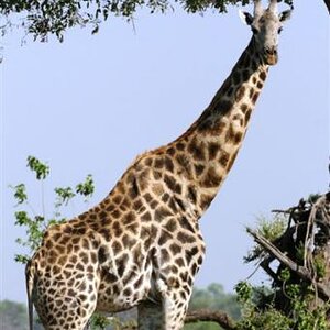 10048-img_0158_1.jpg