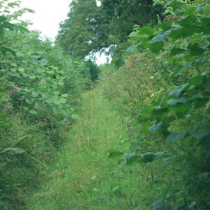 Picture915.jpg