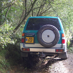 Picture957.jpg
