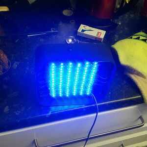 2012-12-13152906.jpg