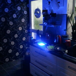2012-12-13152928.jpg