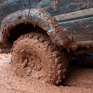 p1585646162-5.jpg
