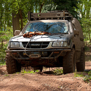 p1585655606-5.jpg