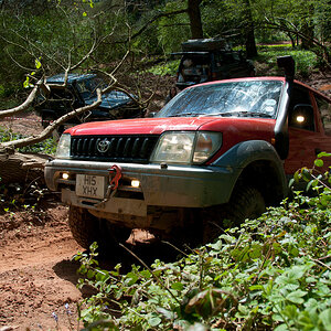 p1585702396-5.jpg