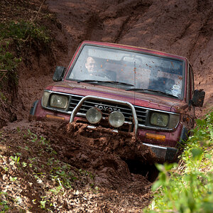 p1585739420-5.jpg