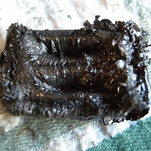 DSCN0651.jpg