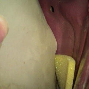 DSC_0501%255B1%255D.jpg