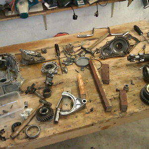 IMAG0765.jpg