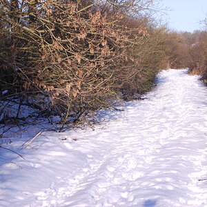 Picture366.jpg