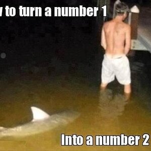 man-peeing-in-water-shark-swimming-funny-captions.jpg