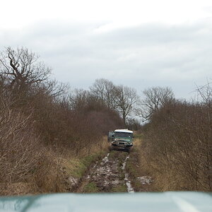 Picture042.jpg