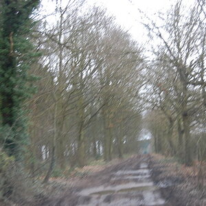 Picture033.jpg