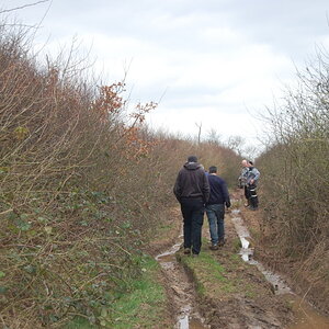 Picture045.jpg
