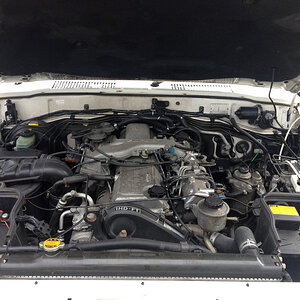 p1504181950-5.jpg