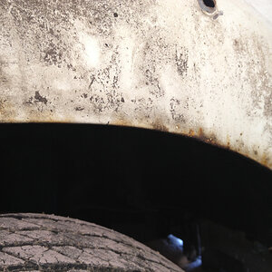 p1534107474-5.jpg
