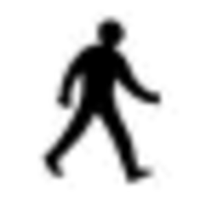 pedestrian.gif