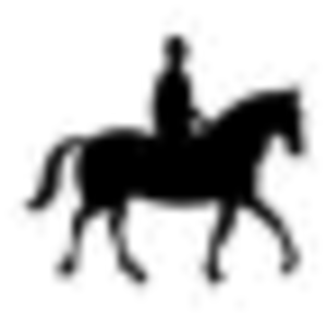 horse.gif