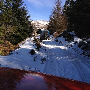 IMG_4393_zps4eb2747a.jpg