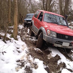 IMG_4526_zpse860ae63.jpg