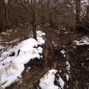 IMG_4574_zps533022b0.jpg