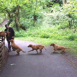 20130616_175909_zps42094468.jpg