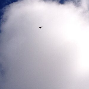 IMG_6691_zpsde801631.jpg