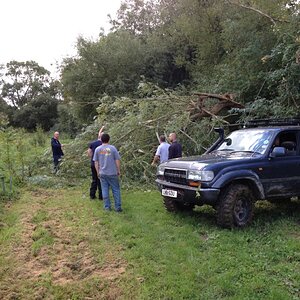 IMG_6705_zps571379bb.jpg