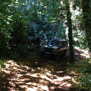 IMG_6732_zps14e2919e.jpg