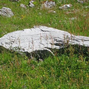IMG_4887.JPG