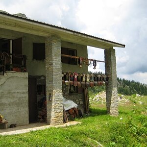 IMG_4920.JPG