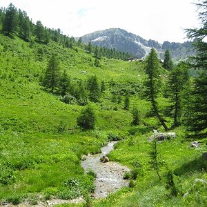 IMG_4928.JPG