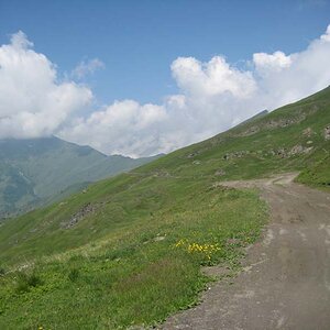 IMG_4942.jpg