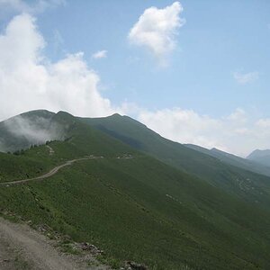 IMG_4944.jpg
