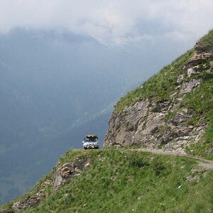 IMG_4951.jpg