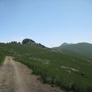IMG_4954.jpg