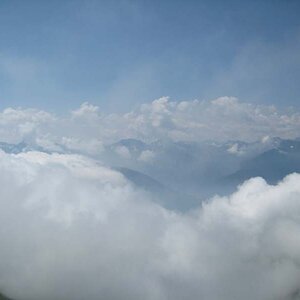 IMG_4955.jpg