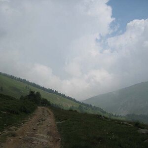 IMG_4971.jpg